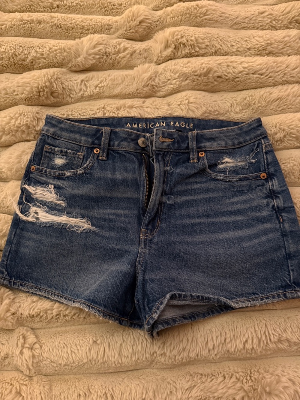 American Eagle Outfitters Distressed Blue Denim Cutoff Shorts
